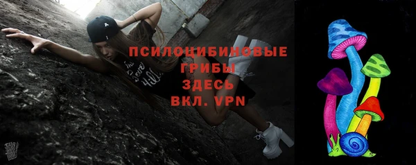 амф Снежинск